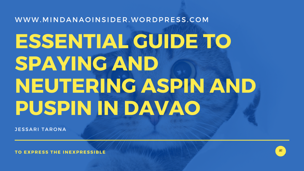 The Importance of Spaying and Neutering Aspin and Puspin in Davao: A Comprehensive Guide